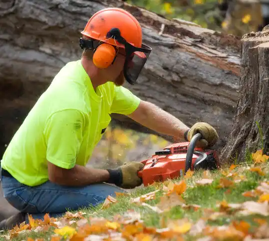 tree services Ronan